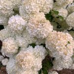 丰禾娱乐平台注册网站:如何在这里获取丰厚的奖励与优惠 0tgy7k