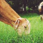 东升国际娱乐:让你沉浸在无限乐趣与激情之中 bflx51cit