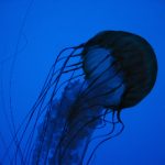 东升国际网页版的安全性分析:如何保护你的个人信息与资金 hb7j7yh