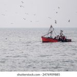 乐虎国际平台的优惠活动,助你赢取更多奖励 kct7faxd