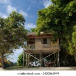 乐竞体育app的独特功能:让每位运动爱好者都能受益 vca24