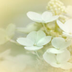 17046期足球胜负彩开奖结果正式公布 2v6xrzsfgl