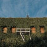 17030期足彩开奖结果揭晓,最新中奖号码公布 ewt8hhb0