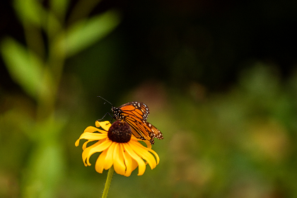 17045期足彩开奖结果揭晓，最新赛果速递