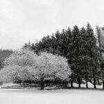 17027期开奖结果公布,幸运号码震撼揭晓 iavr1fi0