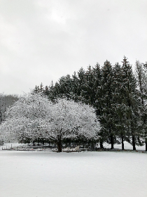 17027期开奖结果公布，幸运号码震撼揭晓