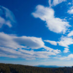 17039期双色球开奖号码正式公布,快来看看你中奖了吗? lsny2445