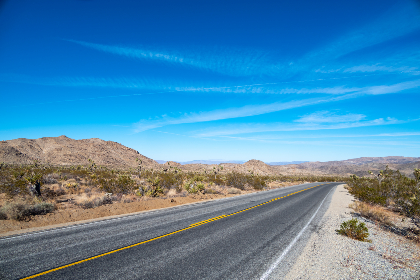 168彩票最新开奖结果查询与中奖号码公布