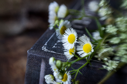 360电竞直播平台:全方位沉浸式观赛新体验 360电竞直播平台:全方位沉浸式观赛新体验