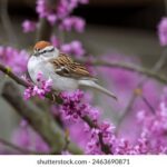 168开奖网最全最快开奖信息实时更新 s9qgm29