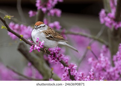 168开奖网最全最快开奖信息实时更新