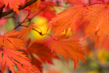 360彩票开奖结果最新公布，中奖号码已揭晓