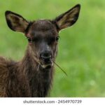 360彩票最新开奖视频全程直播回放 towkxvyc8