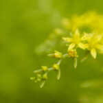 17043期双色球开奖结果查询及中奖号码公布 ud6zjzb