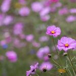 16开奖com最新开奖号码查询与结果公布 xtuu4